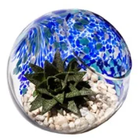 Atlantic Blue Terrarium Orb