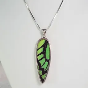 Real Butterfly Wings and Sterling Silver Pendant